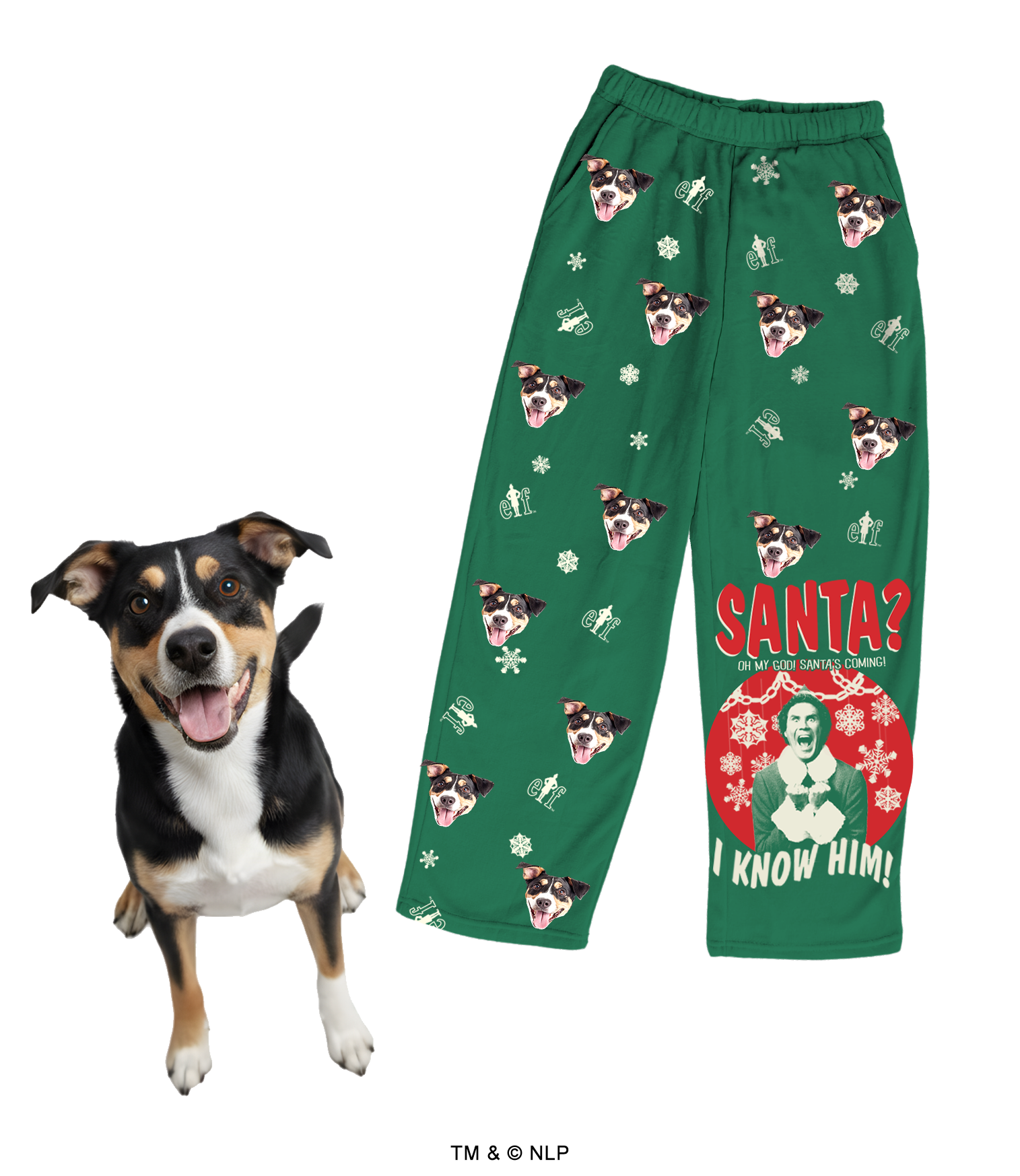 Green pajama pants patterned with repeated images of a black, white, and tan dog's head, small 'Elf' logos, and snowflakes. The right leg features a large graphic of Buddy the Elf on a red snowflake background with the quote 'Santa? I know him!' A real dog with matching markings stands happily next to the pants.
