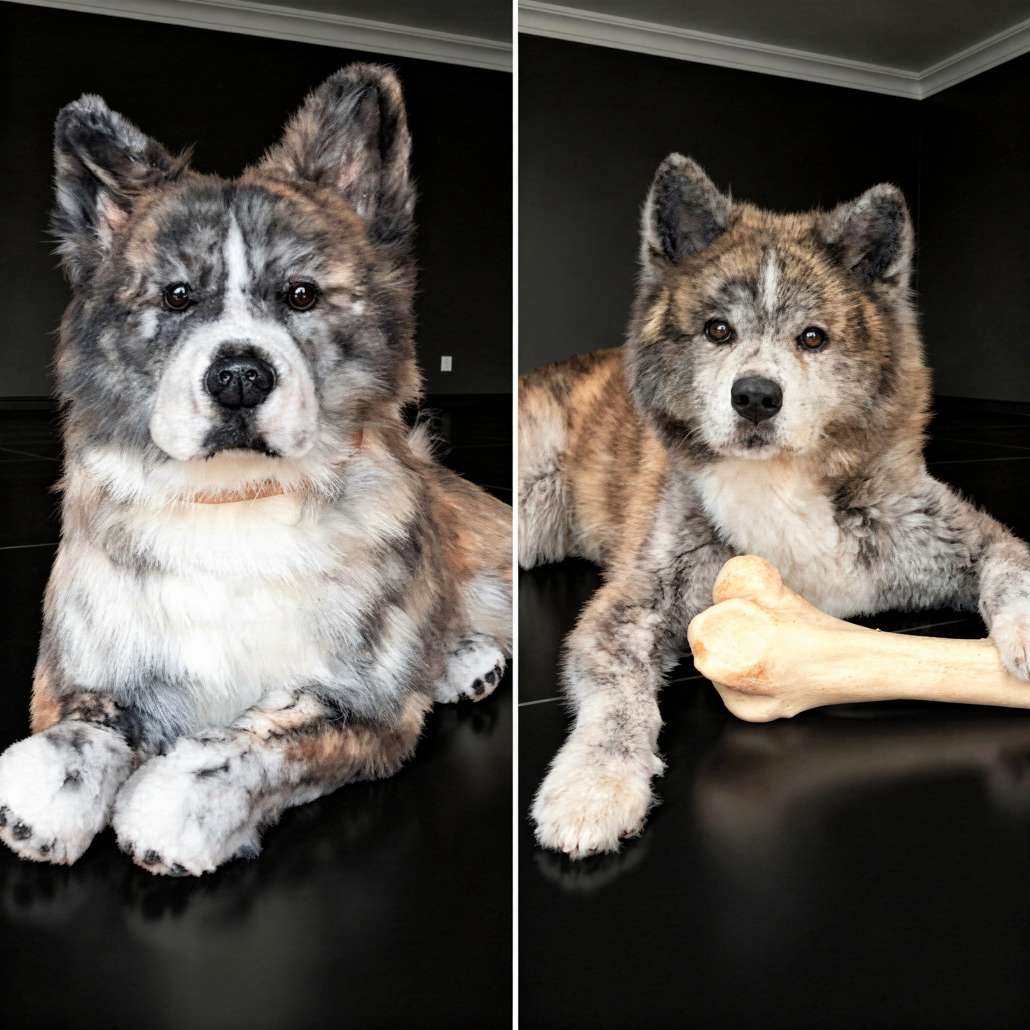 A brindle Akita dog lying with a bone beside a plush replica with similar markings posed upright.