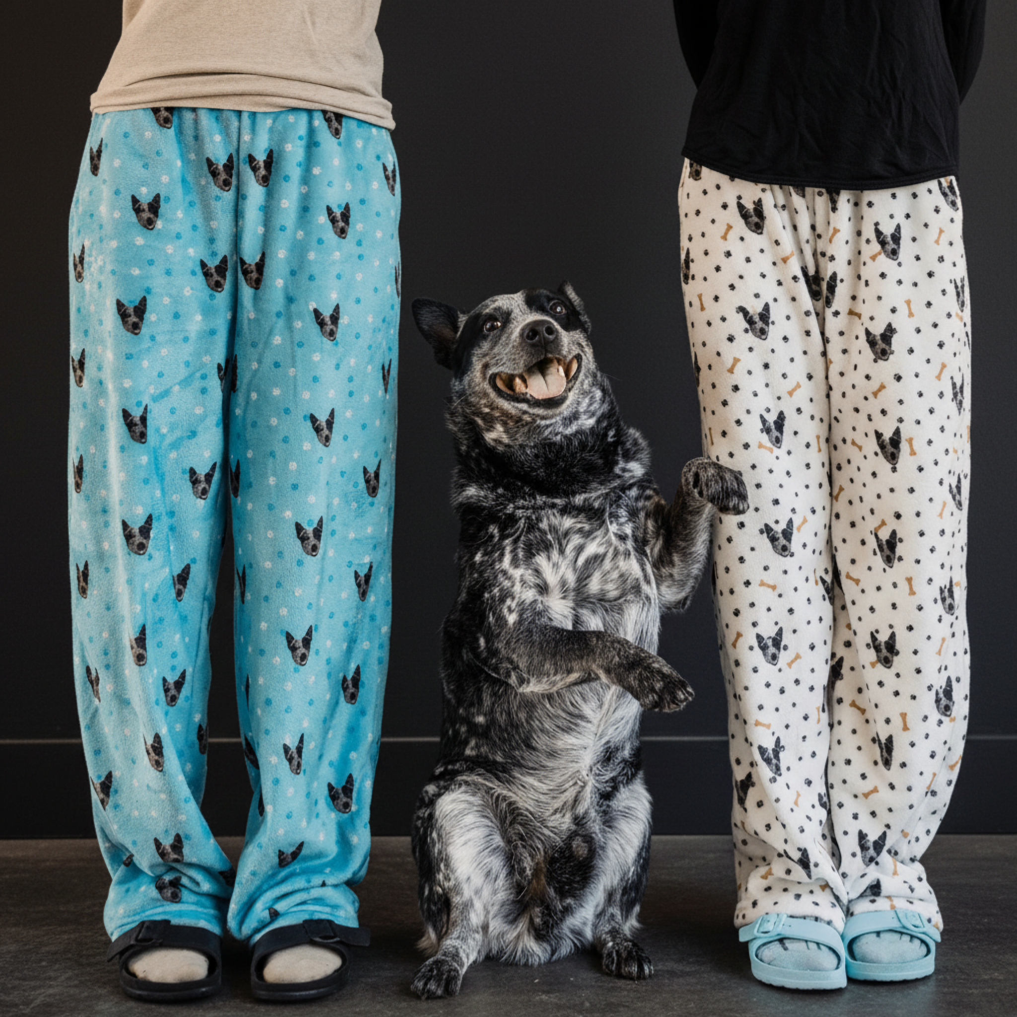 Happy Blue Heeler sitting between two people wearing pajama pants with the dog’s face