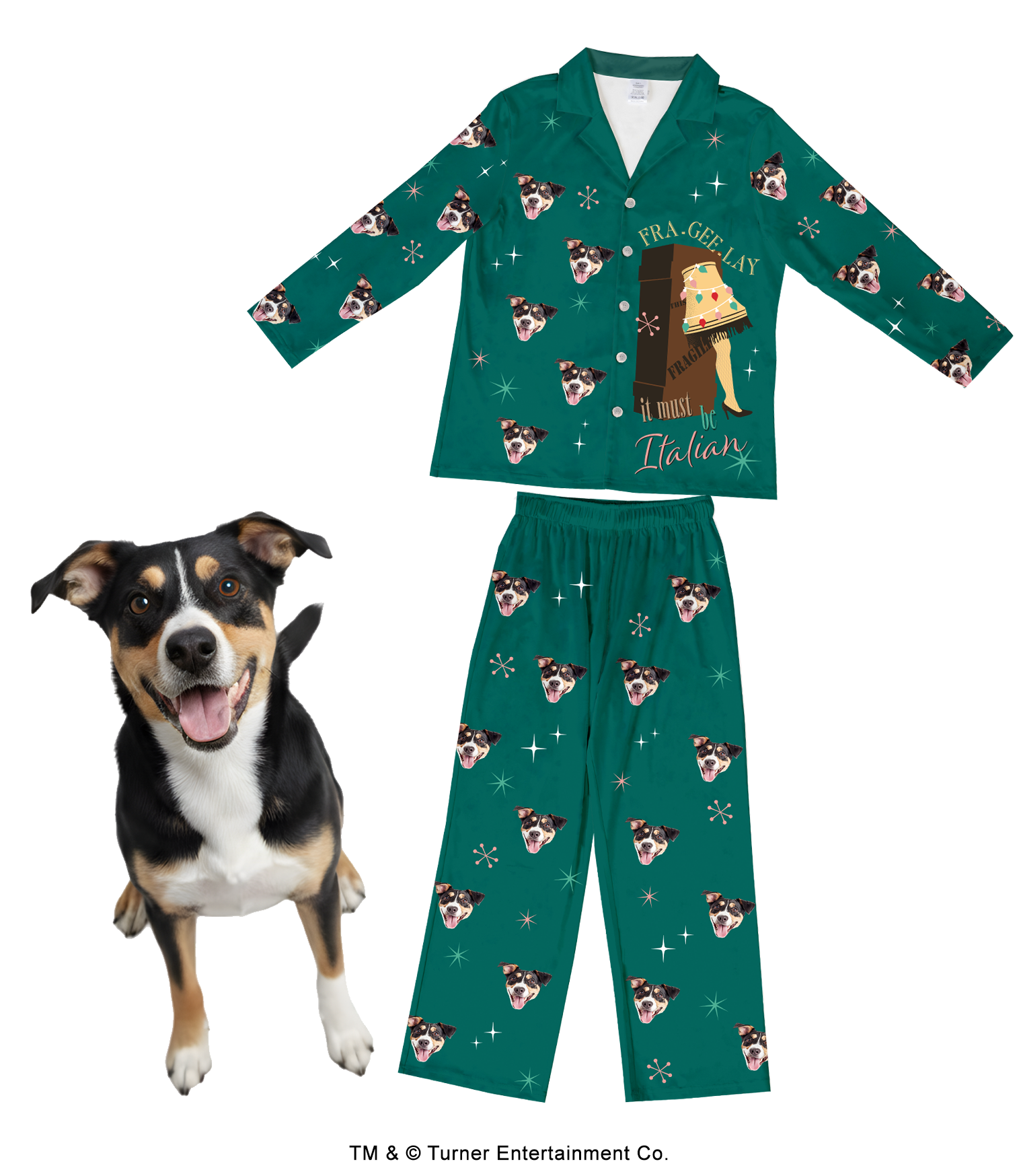 Green pajamas adorned with dog faces, alongside a smiling dog.