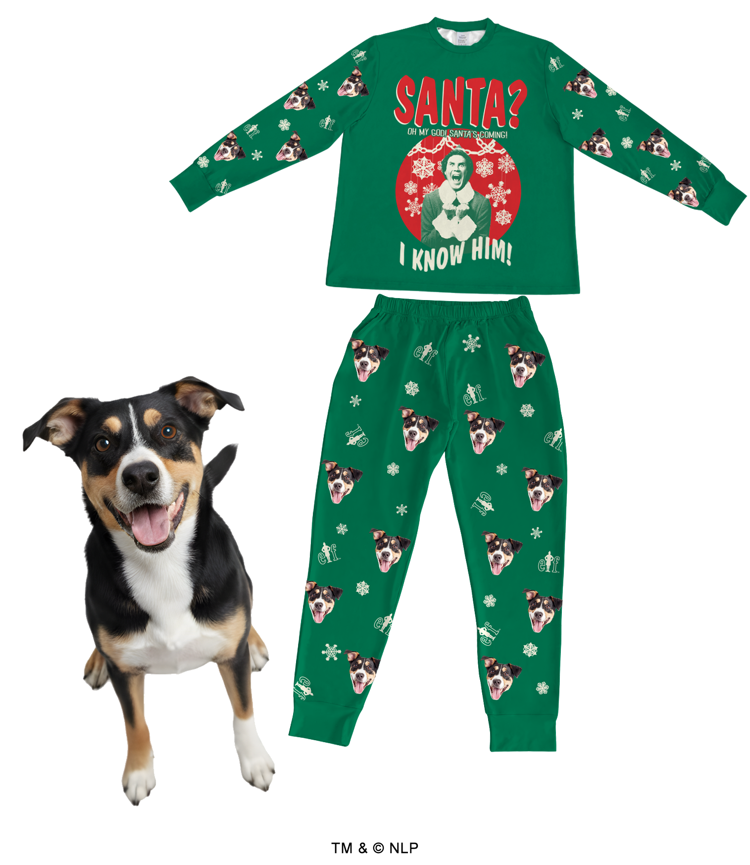 A set of green, long-sleeved pajamas featuring a repeating pattern of a black, white, and tan dog's face and snowflakes. The pajama top has a large graphic of Buddy the Elf with the quote 'Santa? I know him!' A real dog with matching markings stands happily next to the pajamas.