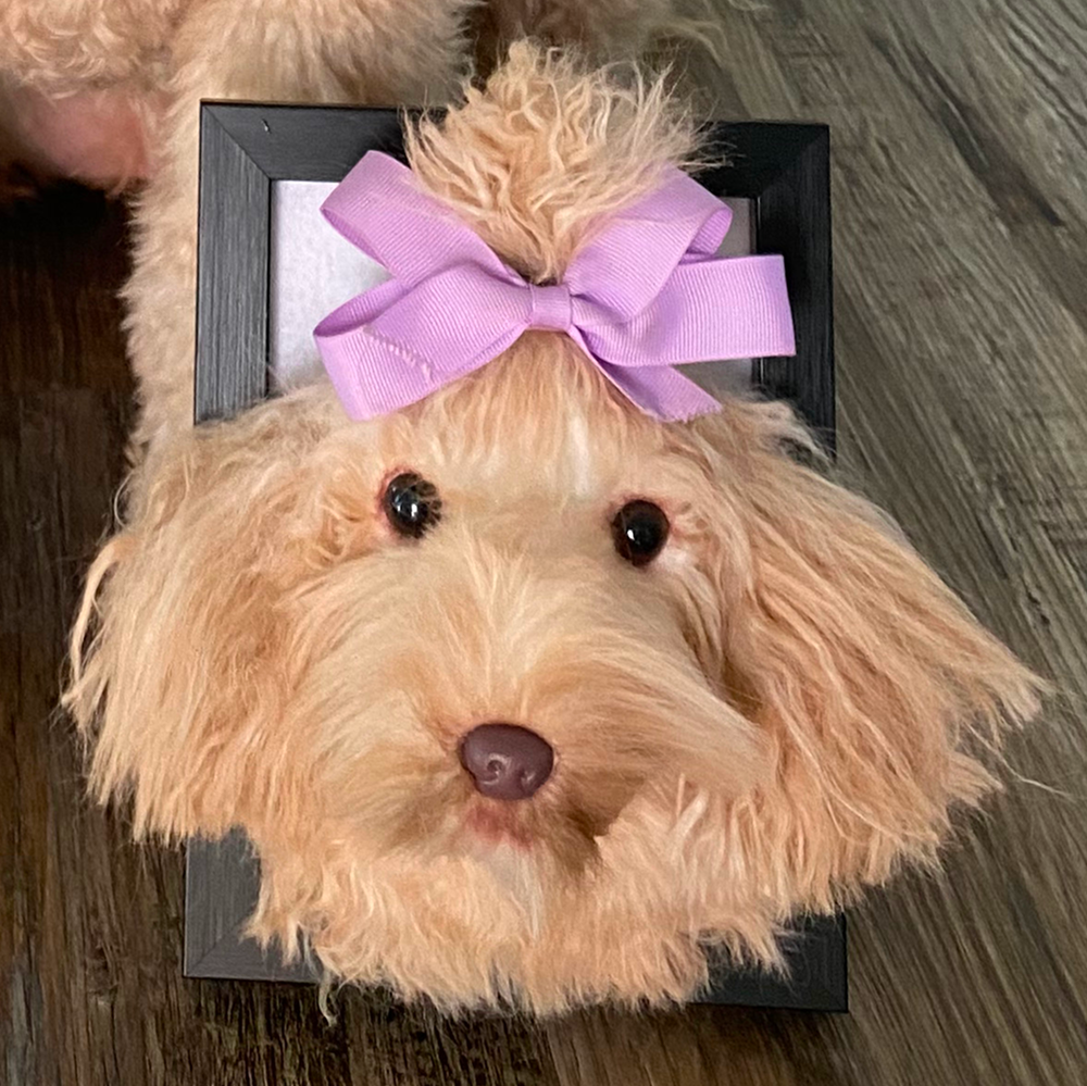 A fluffy dog with a purple bow in a frame on a wooden floor.