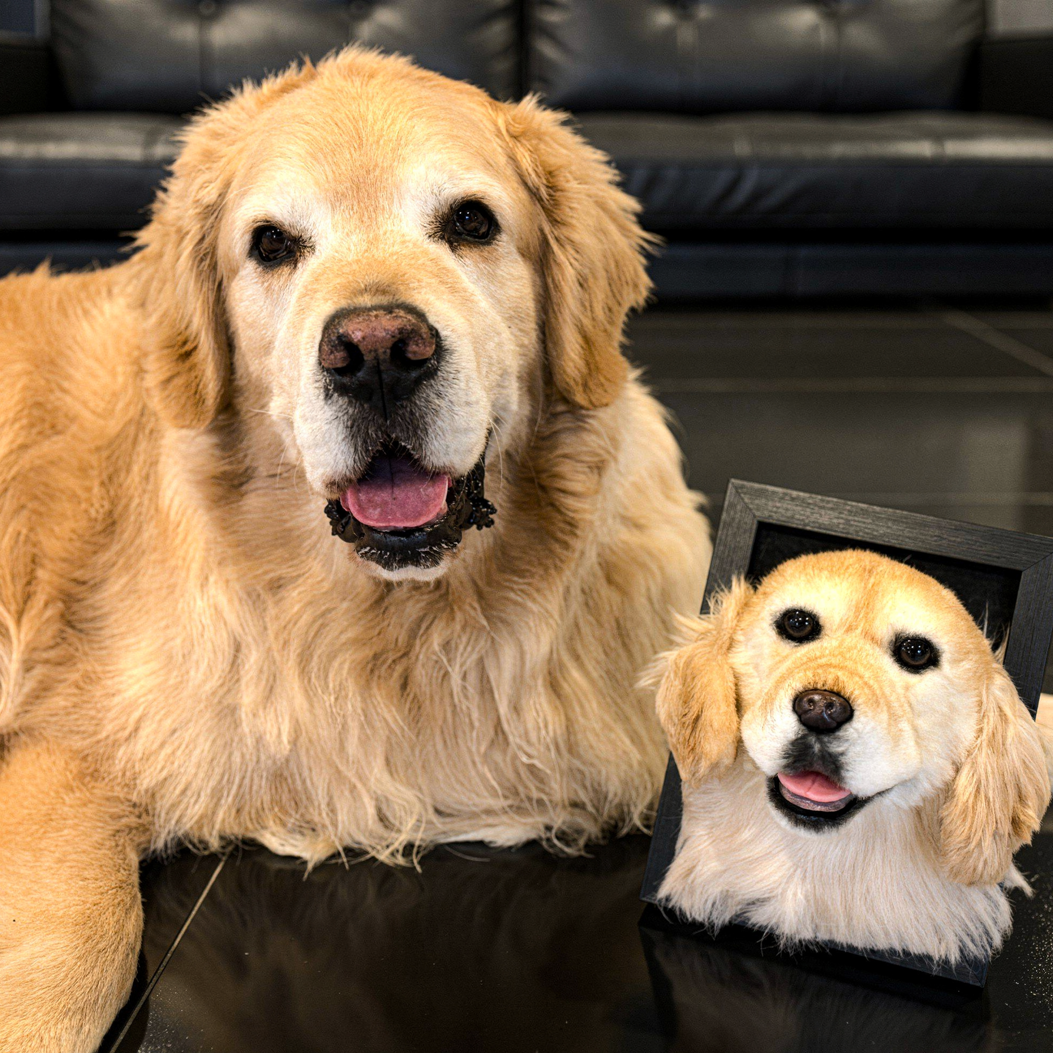 Golden Retriever by its matching 'happy' portrait in a white wooden frame.