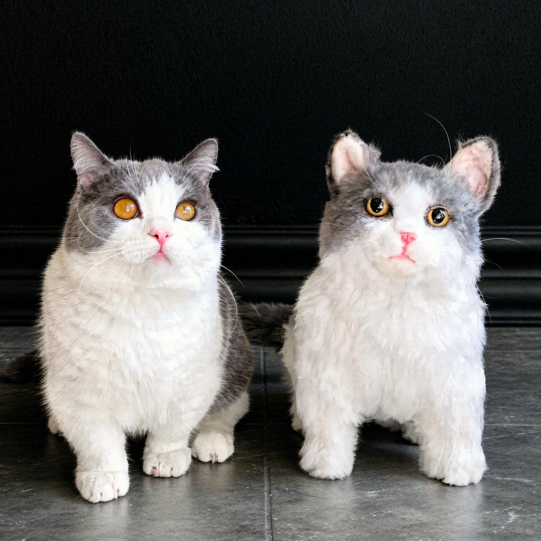 A gray and white cat sitting next to a plush toy replica of itself on a white textured sofa. 