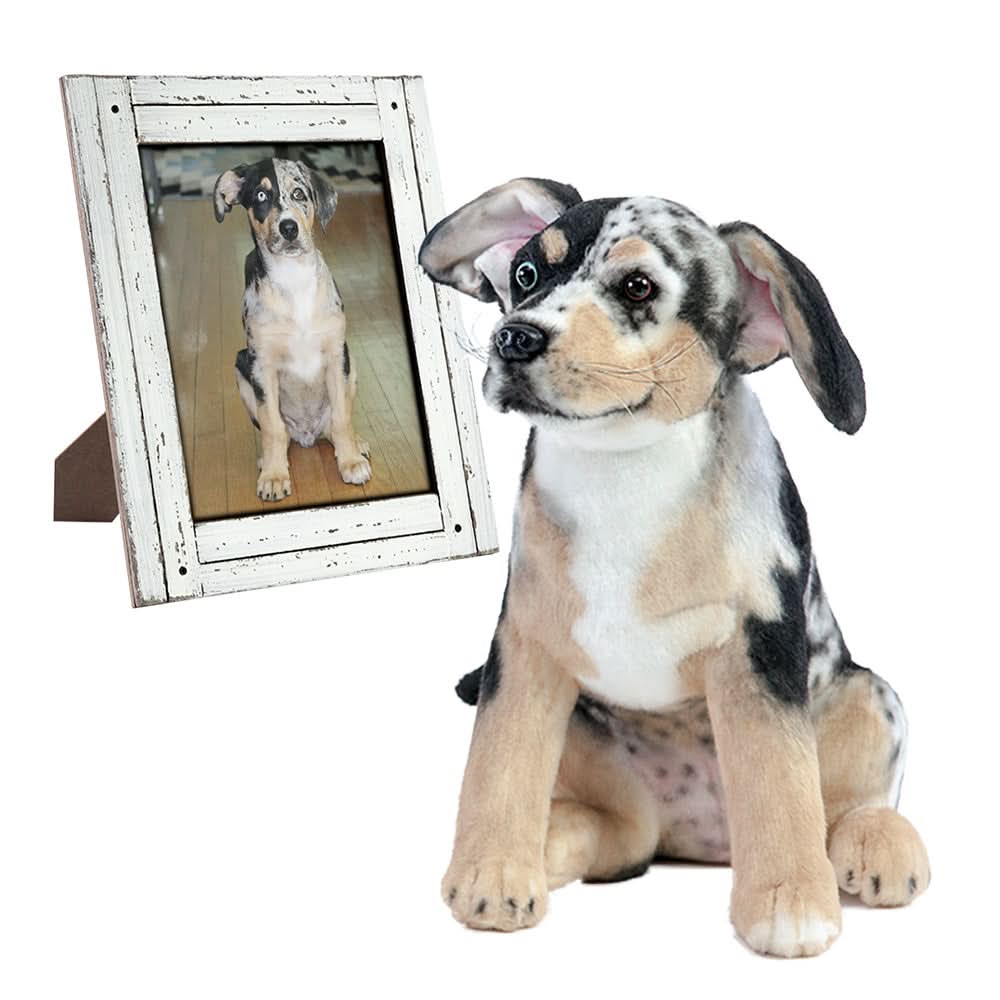 Plush dog sitting beside a framed photo of a real dog.