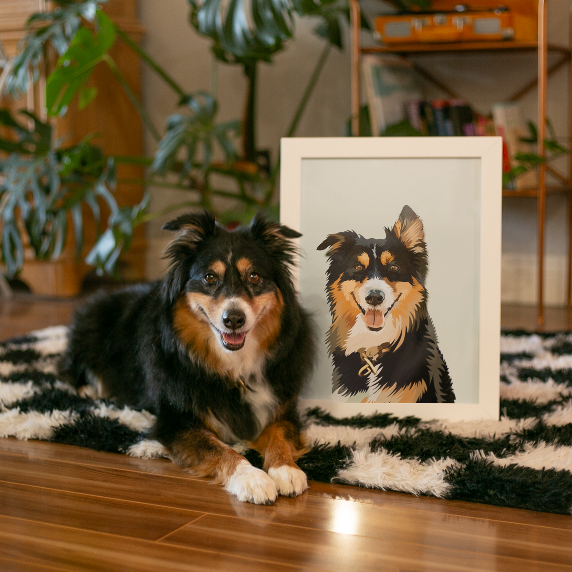 A black, tan, and white Australian Shepherd/Collie dog lies on a black and white shaggy rug next to a framed illustration of its face, set in an indoor room with houseplants.