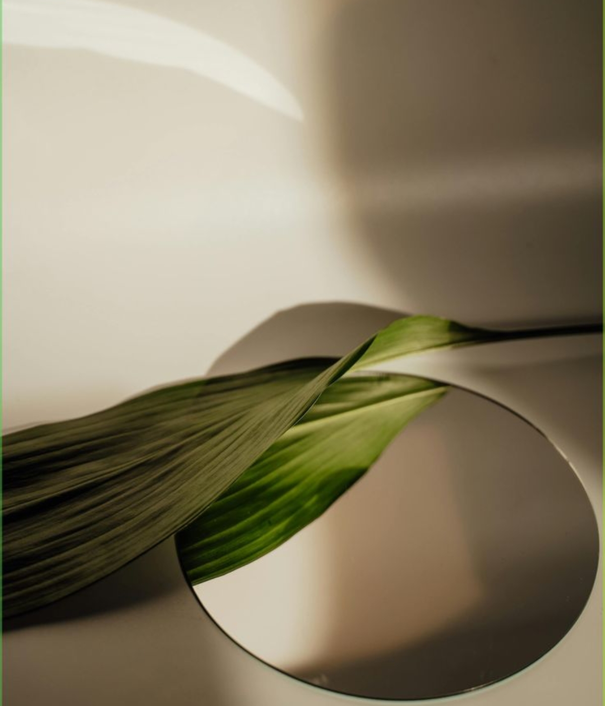 A long, green leaf rests on a small circular mirror against a plain, off-white background with soft shadows.