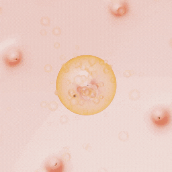 Animated pink and orange bubbles floating on a soft pink background.