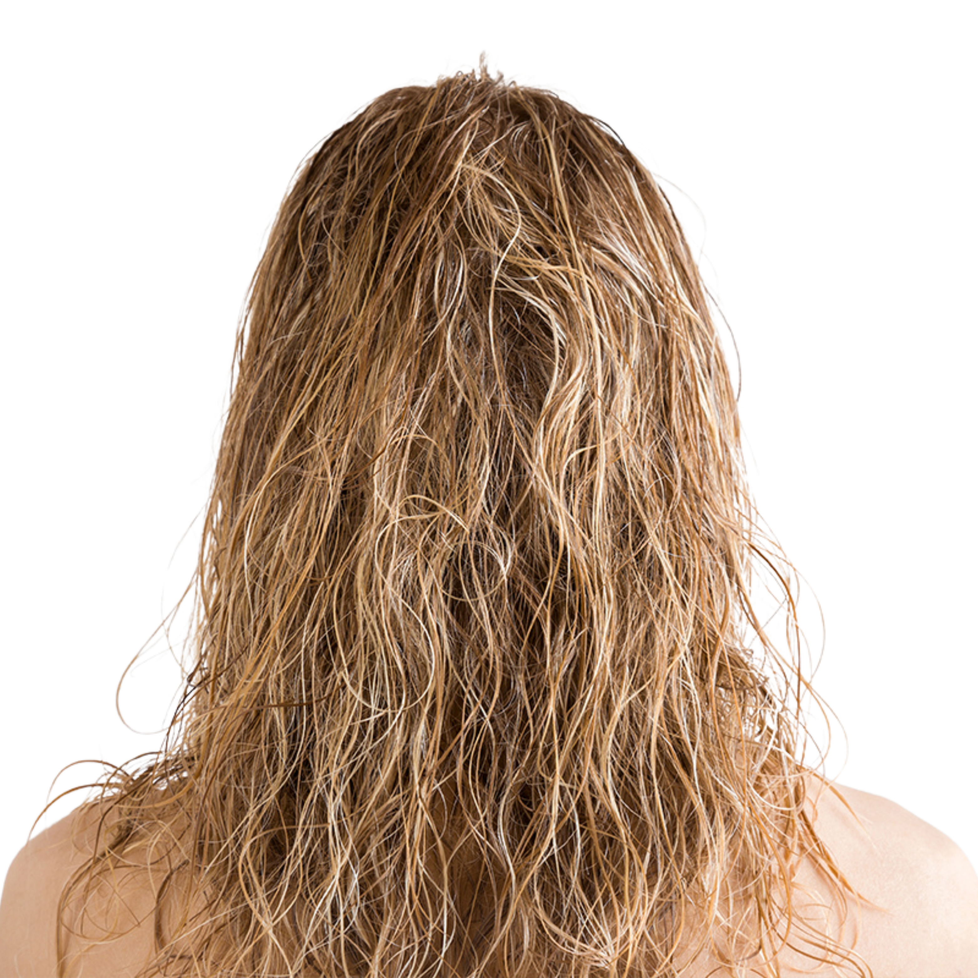 Back view of a person with wet, wavy blonde hair.