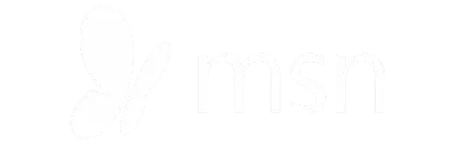 The MSN logo, which features a butterfly symbol followed by the letters msn.