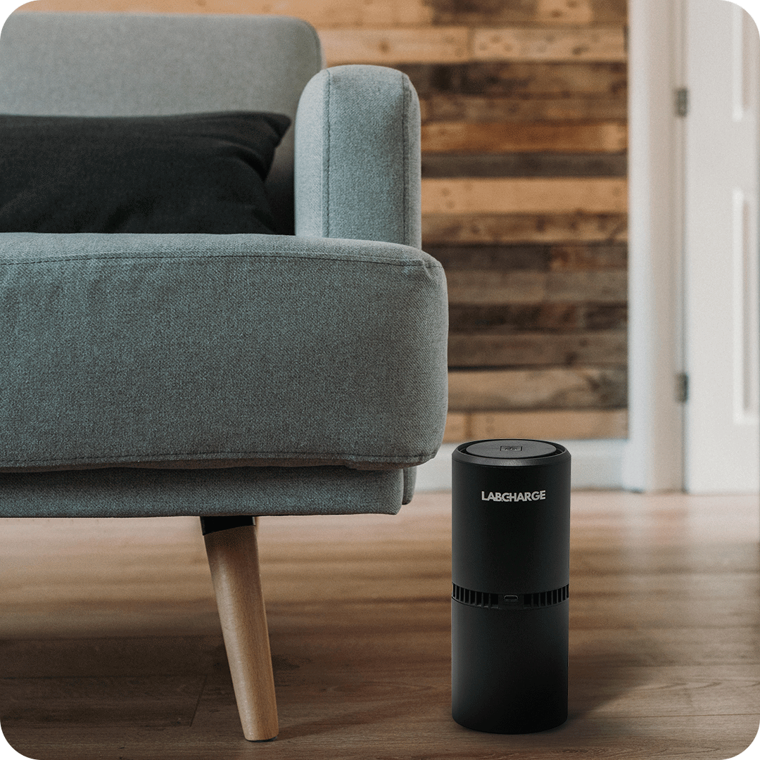 Gray sofa with black pillow beside a black cylindrical device on wooden floor.