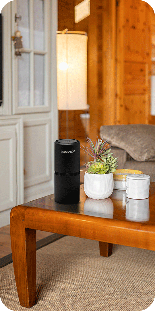 Black device and potted plant on wooden table in cozy room.