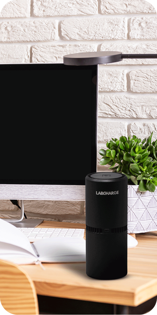 Desk with a monitor, plant, and black cylindrical device.