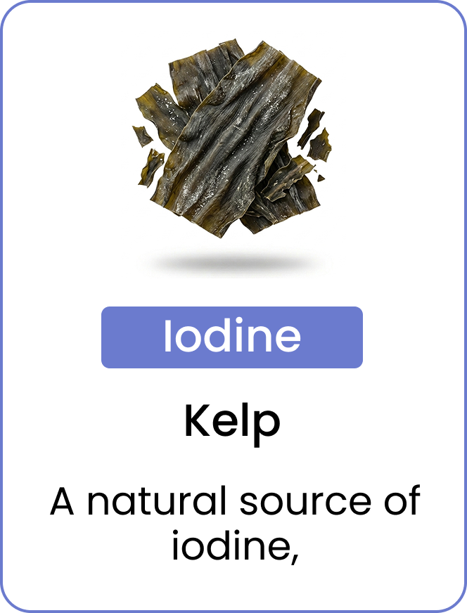 An image showing dried kelp, which is a natural source of iodine.