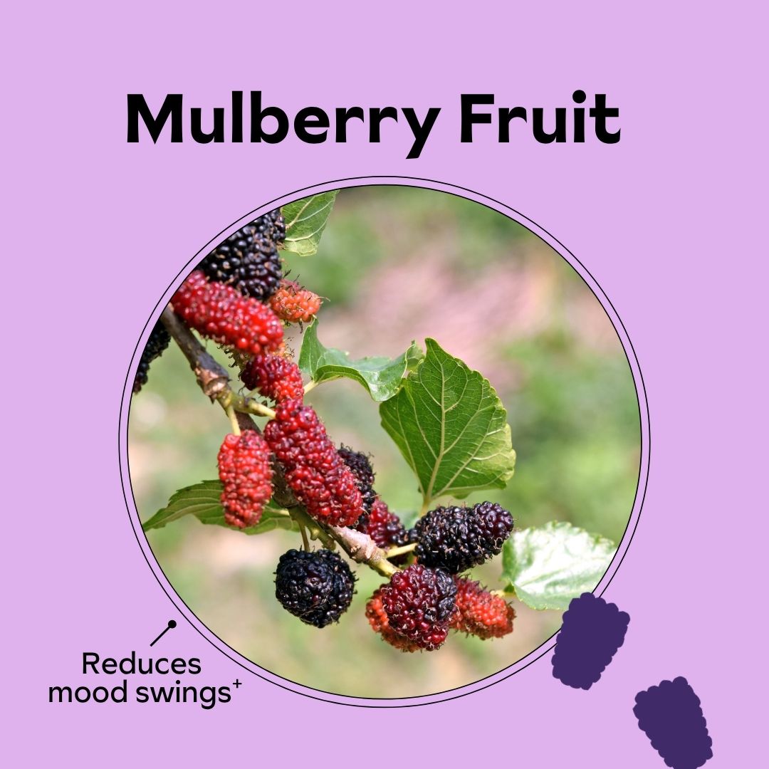 Mulberry fruit on a branch with leaves, labeled 'Reduces mood swings.'