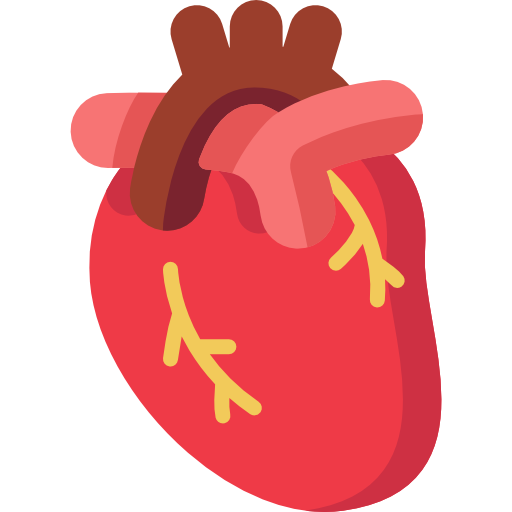 Illustration of a human heart with arteries and veins.