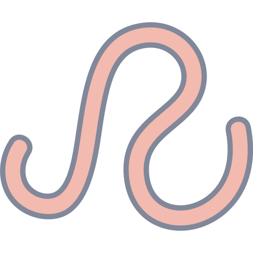 Illustration of a pink, wavy line on a transparent background.