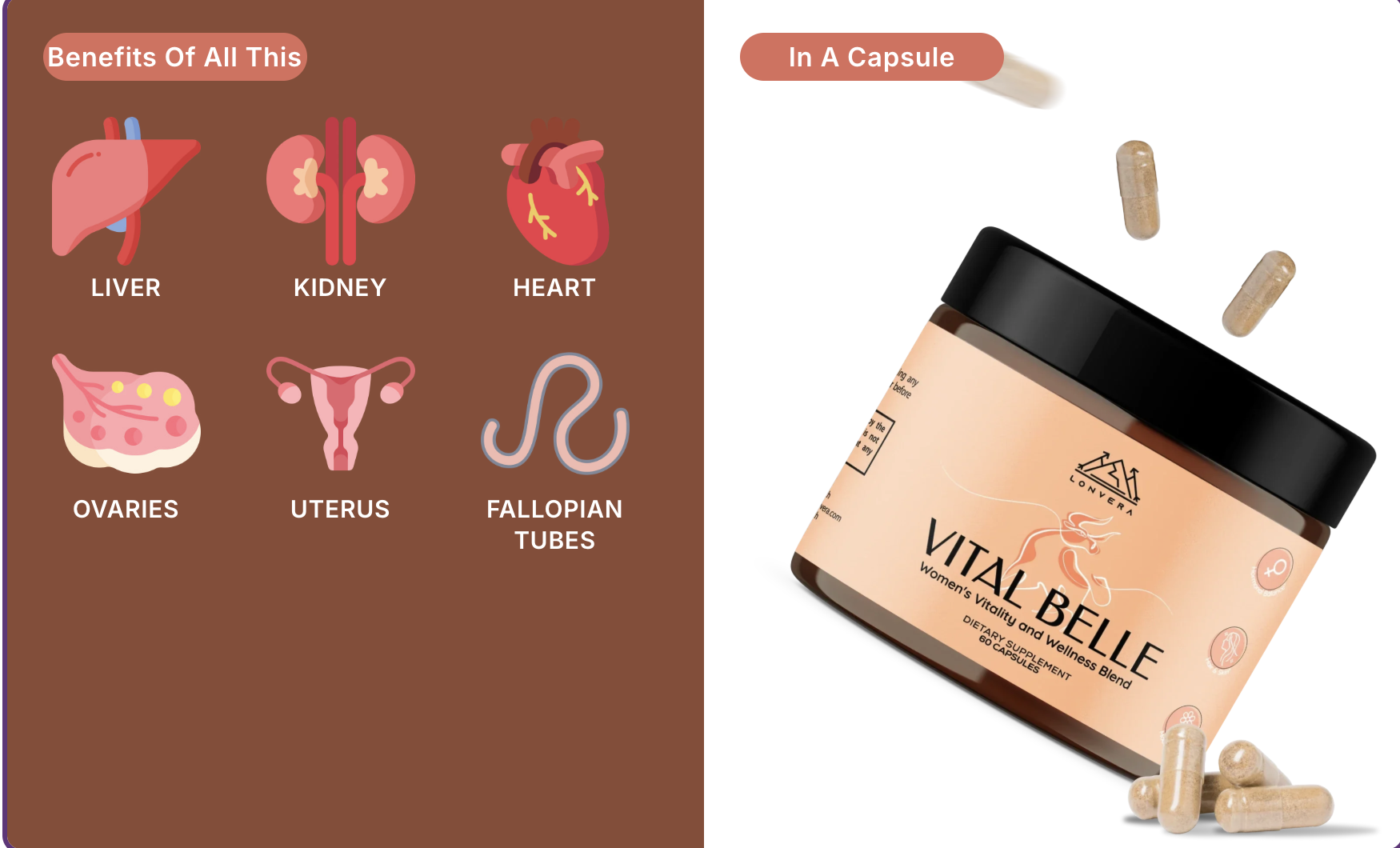 Illustrations of organs and a supplement jar labeled 'Vital Belle' with capsules.