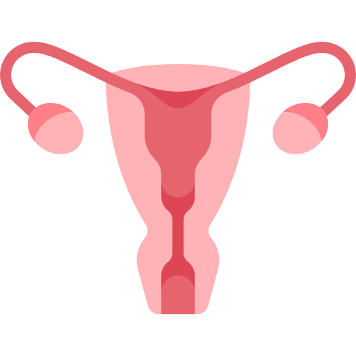 Illustration of a human uterus with fallopian tubes and ovaries.