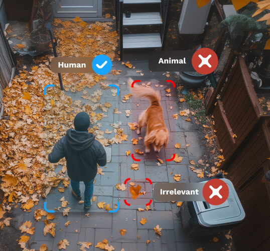 AI detection system identifying a human and a dog, with irrelevant objects filtered out
