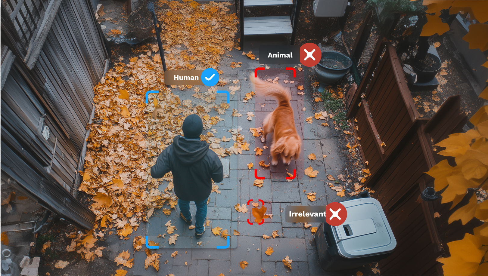 AI detection system identifying a human and a dog, with irrelevant objects filtered out