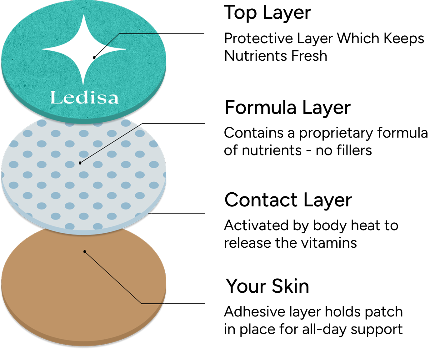 Three stacked discs with different textures and colors, labeled with pointers and the word 'Ledisa' on top.