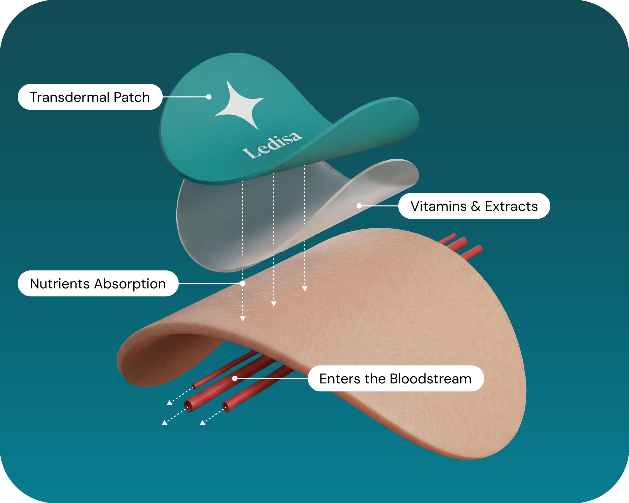 Illustration of a four-layer nutrient patch with labels and descriptions.