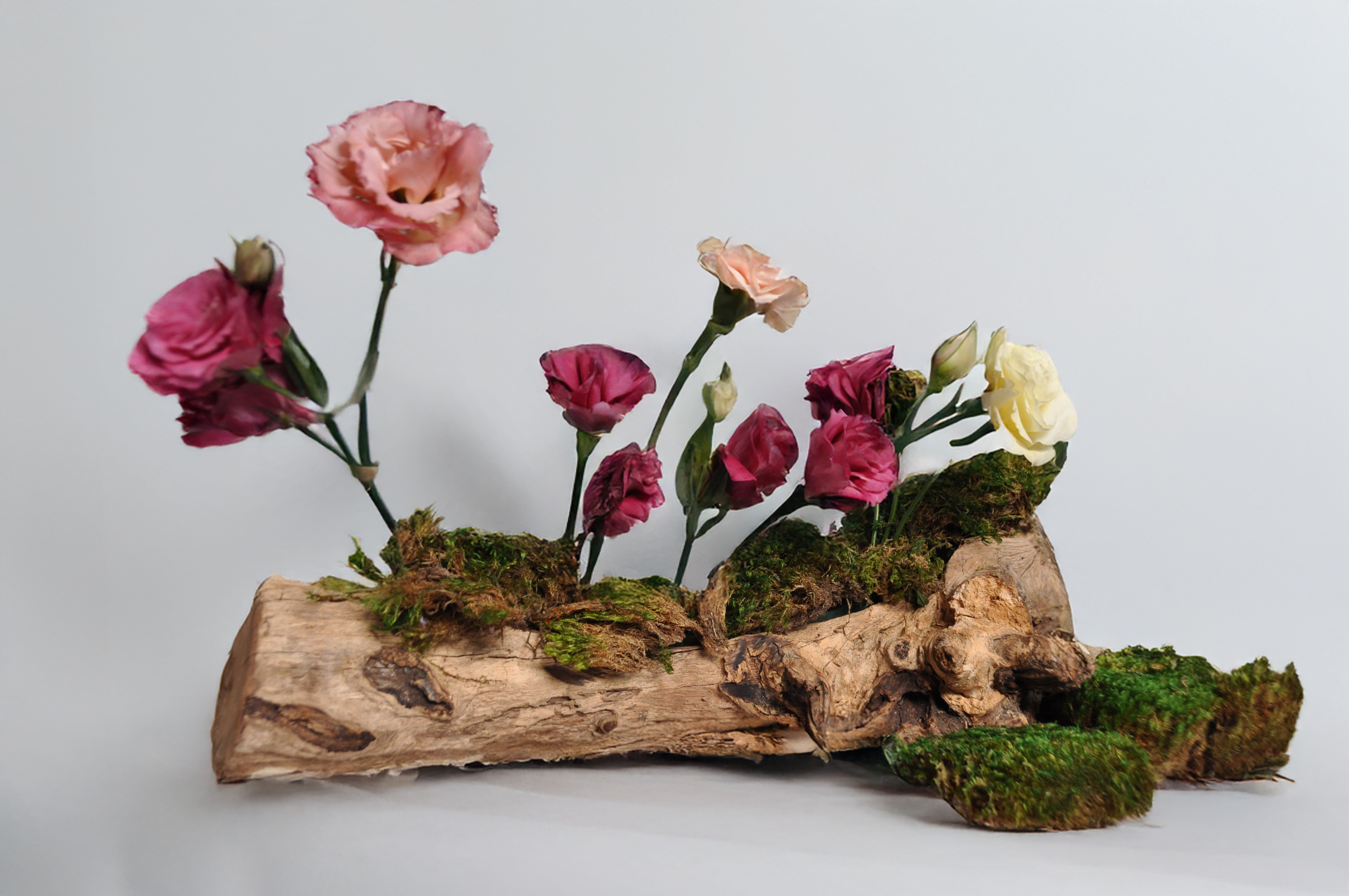 Colorful flowers arranged on a moss-covered wooden log.