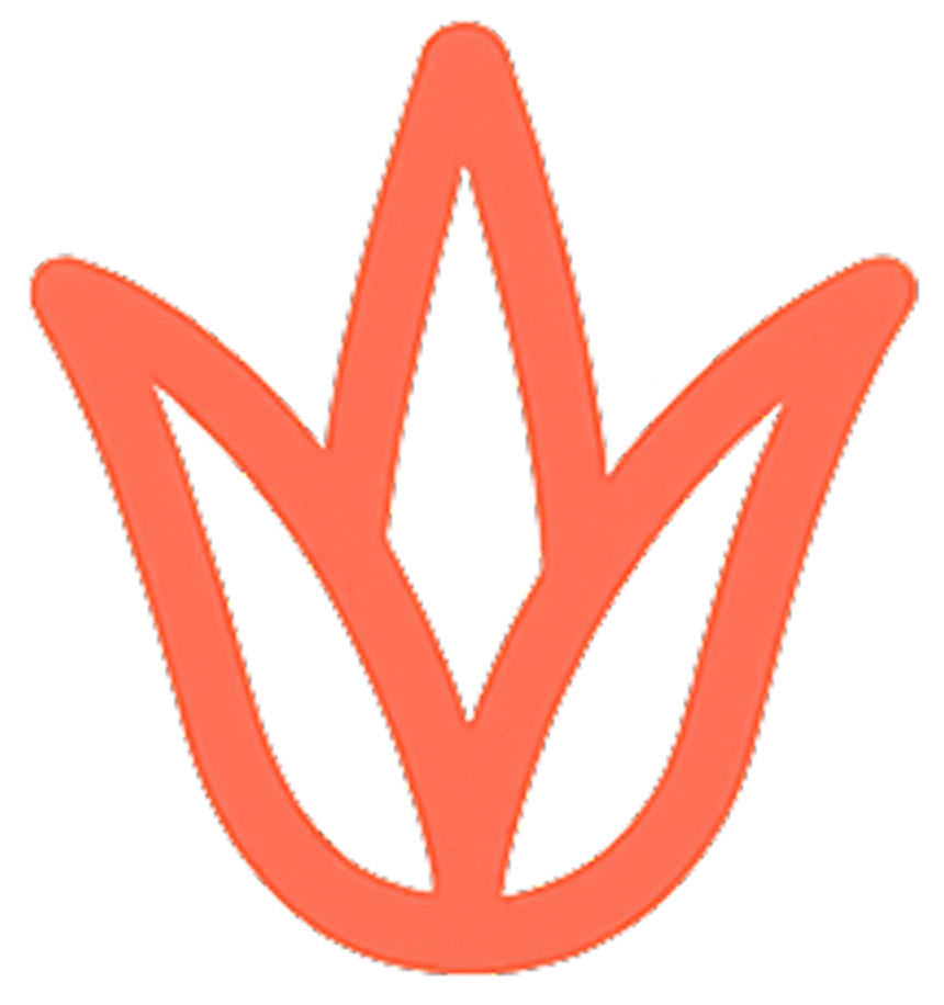Simple orange outline of a tulip flower.