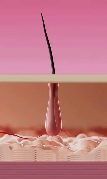 3D animation of AlphaInfuse serum reaching the follicle