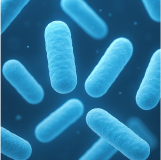 Blue rod-shaped bacteria on a dark background.