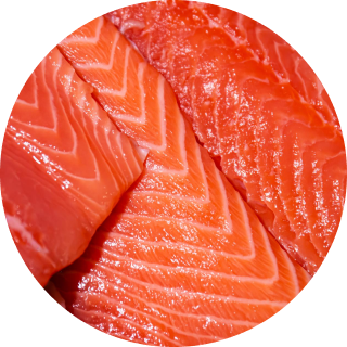 Close-up of raw salmon fillets with visible marbling.