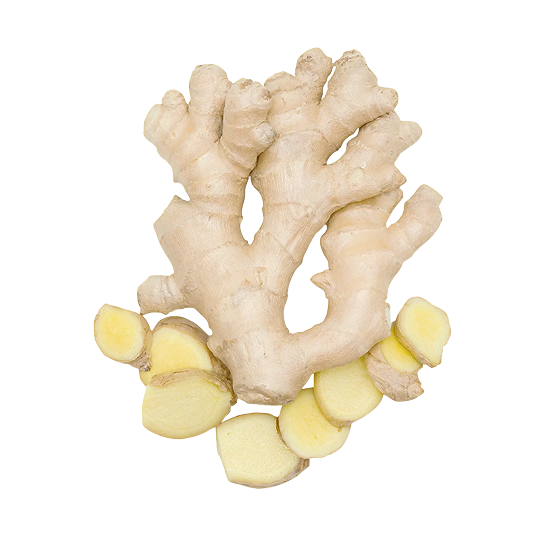 A whole ginger root with several round slices scattered at its base, on a white background.