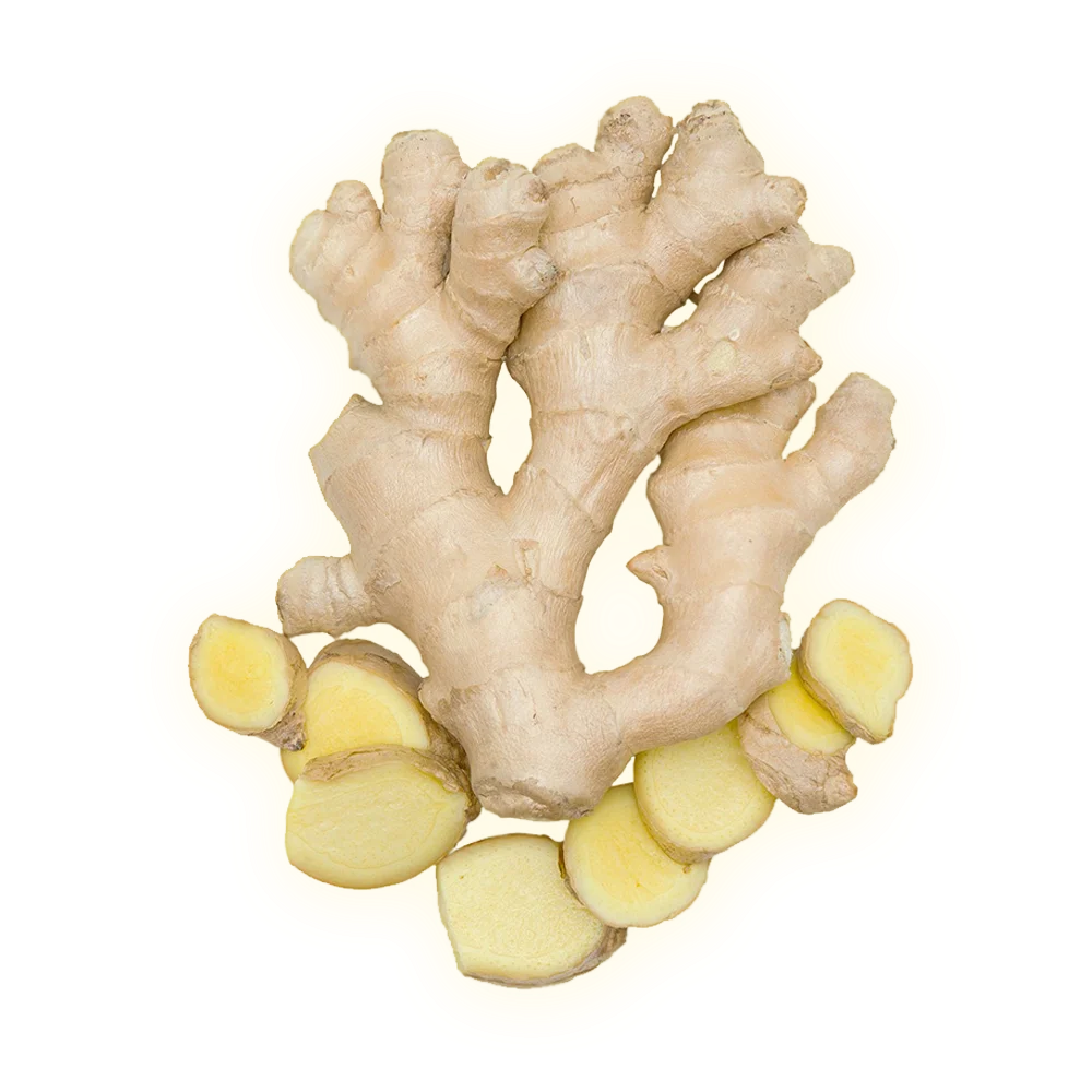 A whole ginger root with several slices cut from it, on a white background.