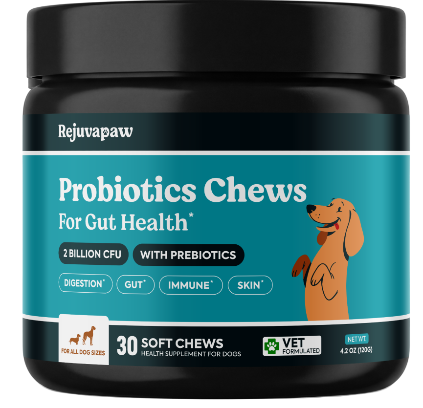 A black jar of Rejuvapaw Probiotics Chews for Gut Health, a supplement for dogs.