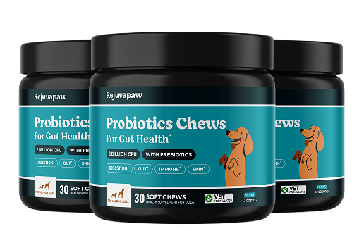 Three black jars of Rejuvapaw Probiotics Chews for dogs with a teal label against a white background.