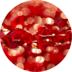 A close-up, circular image of red pomegranate seeds with a sparkling, out-of-focus background.