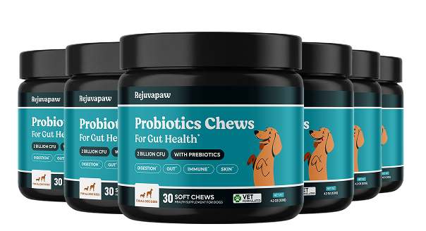 A group of Rejuvapaw Probiotics Chews for Gut Health jars for dogs against a white background.