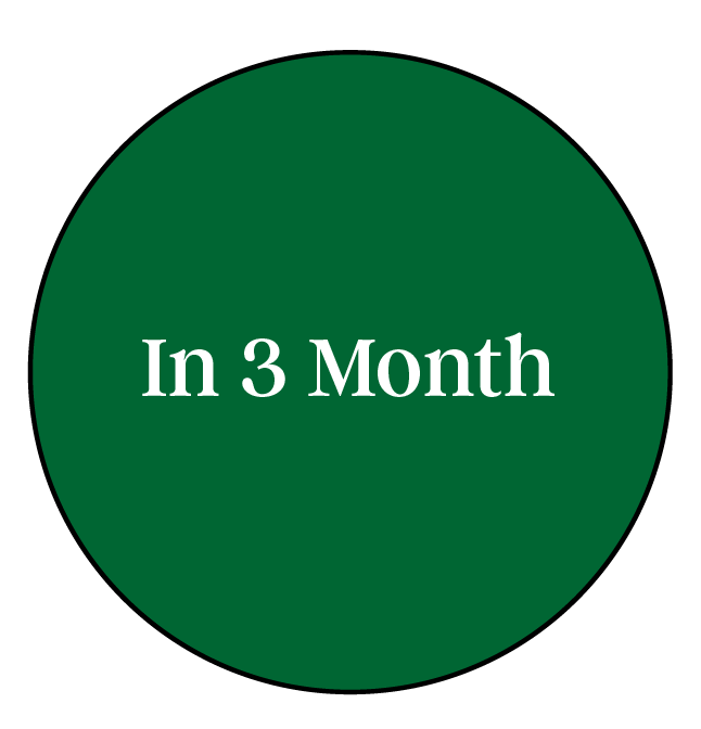 A green circle with a black outline containing the text 'In 3 Month' in a white serif font.