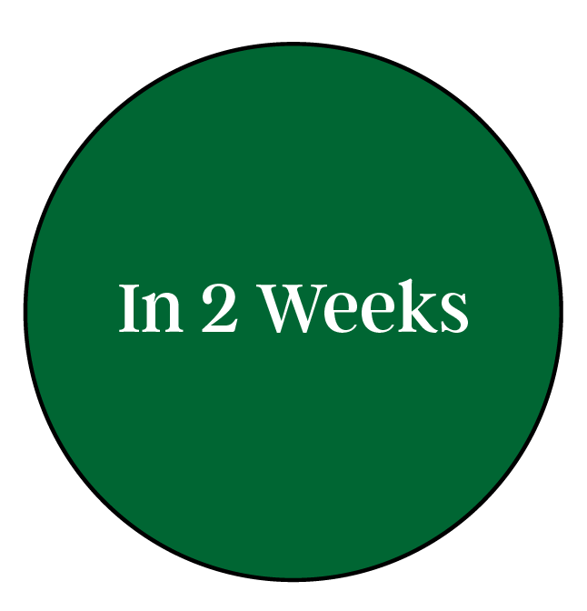 A dark green circle with the text 'In 2 Weeks' written in white inside.