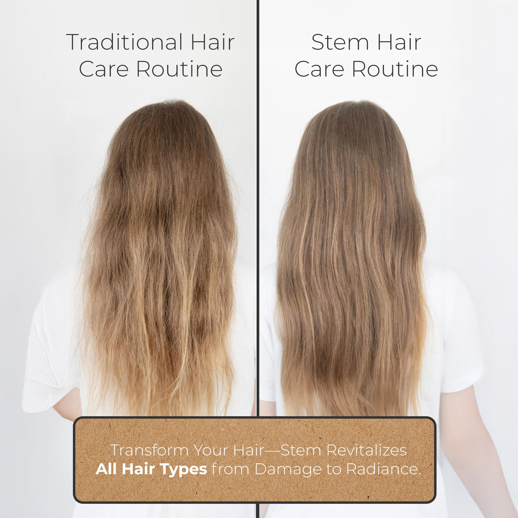 Comparison of two hair care routines on long brown hair from the back.