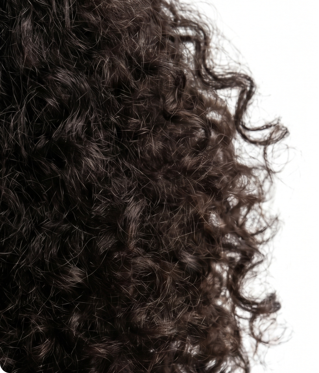 A close-up view of thick, dark brown curly hair against a white background.