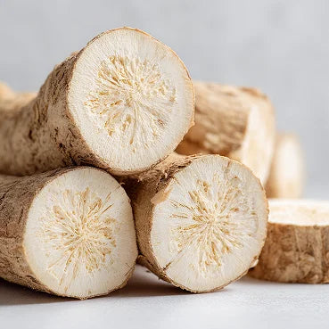 A close-up of several cut pieces of a fibrous, light-colored root stacked together.