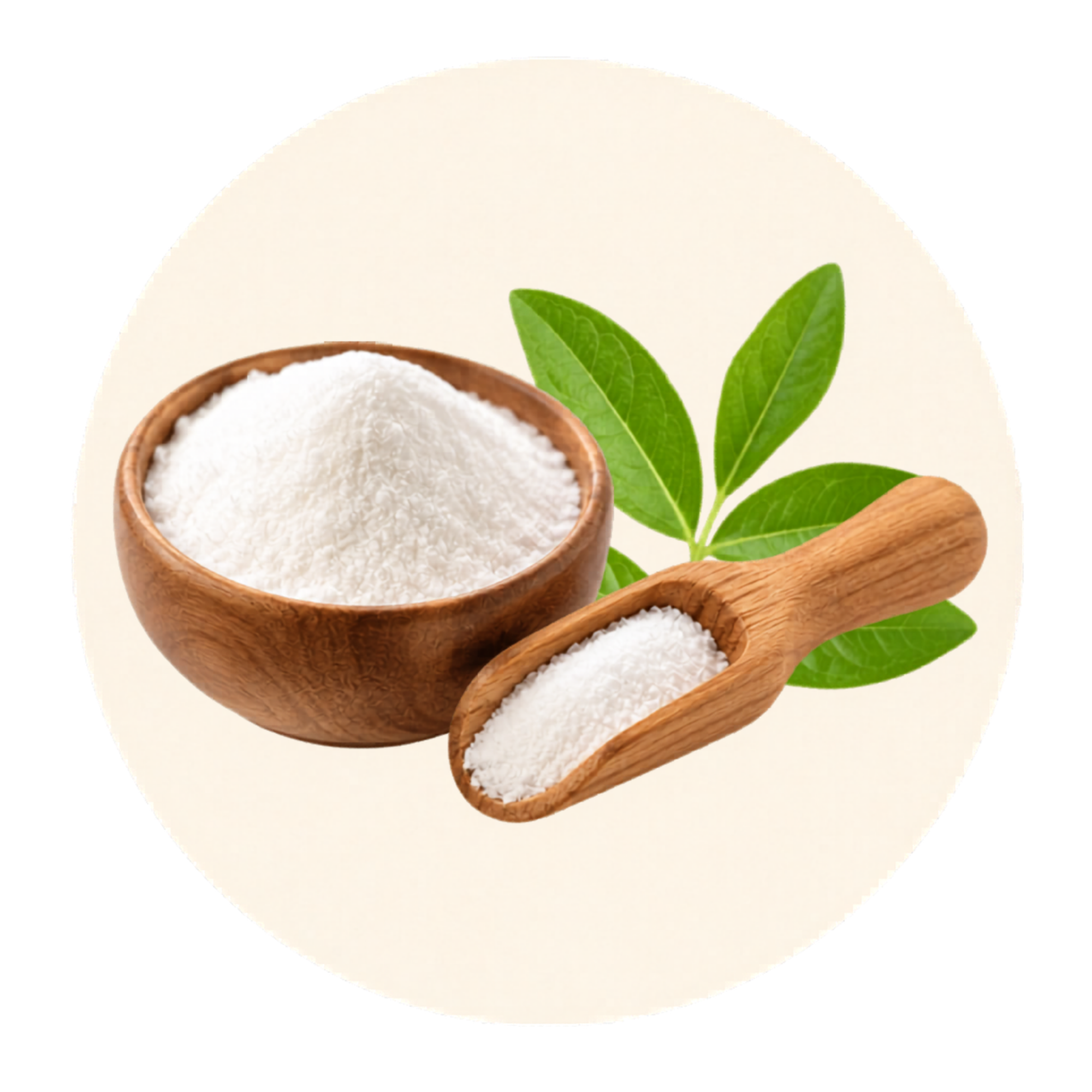 A wooden bowl and scoop filled with white powder are shown next to a sprig of green leaves.