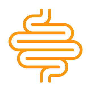 Orange line drawing of a stylized intestine on a black background.