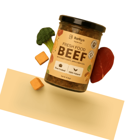 comida fresca para cão cozinhada com ingrediente frescos