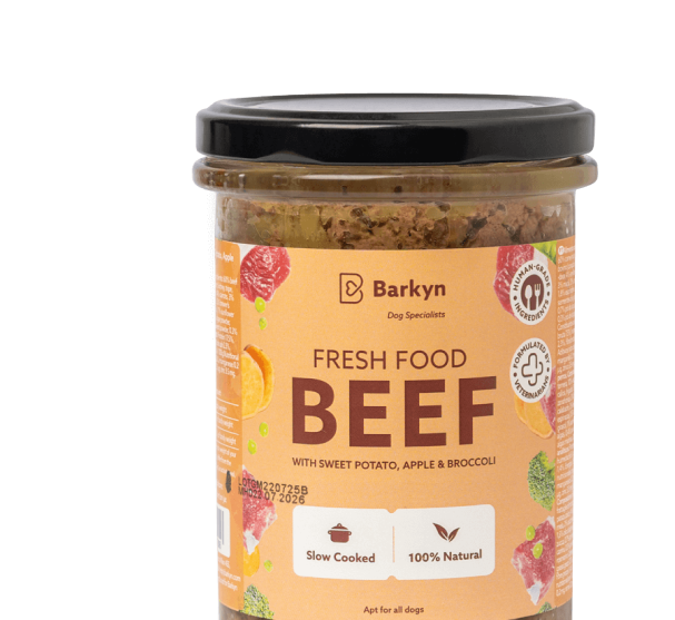 Frasco de comida fresca cozinhada para cães