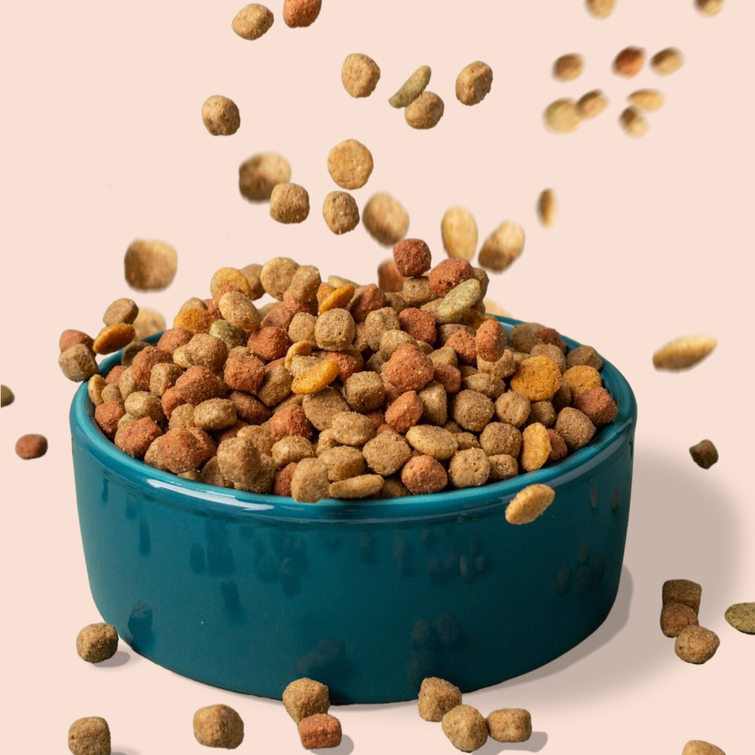 Kibble falling into a full blue bowl on a light background.