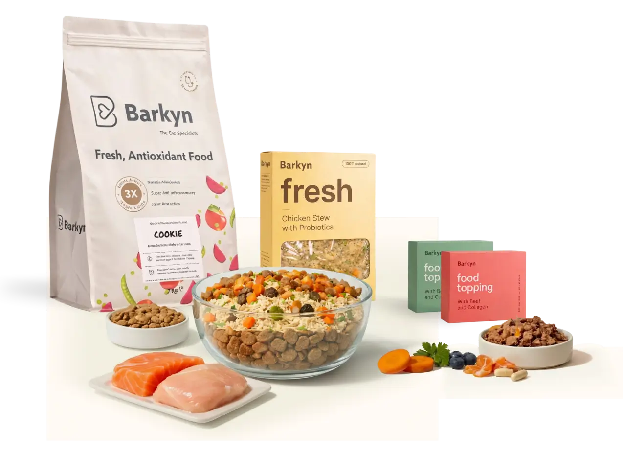 An arrangement of Barkyn dog food products including kibble, fresh meals, toppings, and raw ingredients on a white surface.