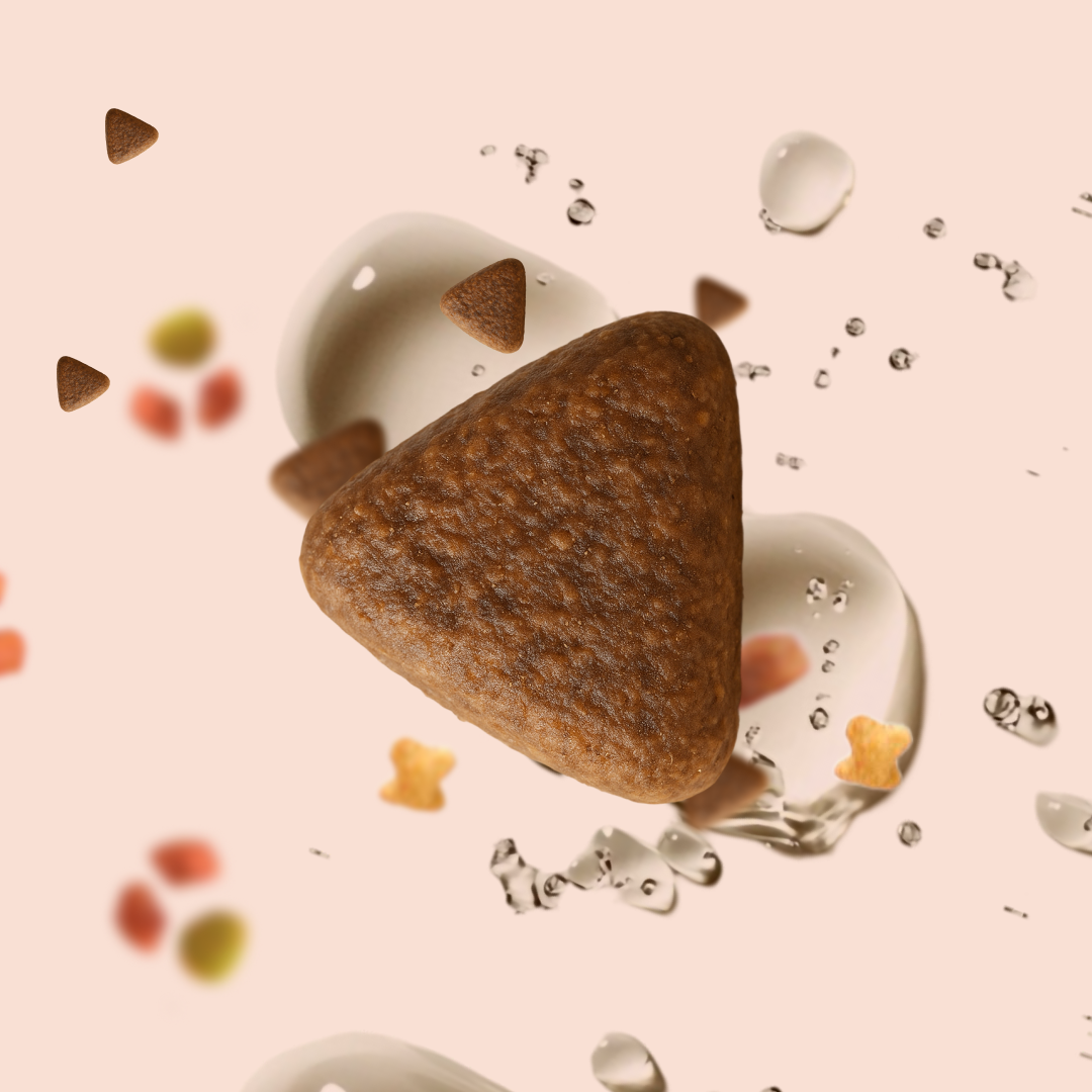 Triangular brown kibble pieces with droplets and colored shapes on a light background.